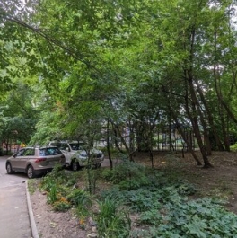 Аренда 2-комн квартиры на вторичном рынке улица Шумкина,  д. 11