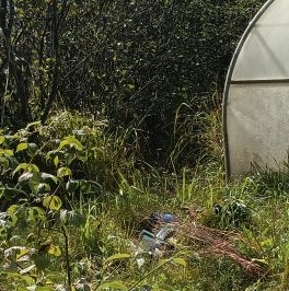 Продажа земли Бабино садоводческий массив