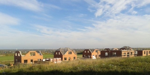 Коттедж/дом Аннинское ш, Горелово п