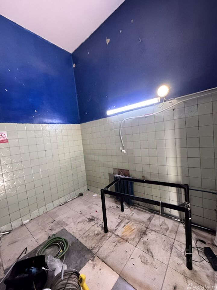 Продажа ПСН Ботаническая улица,  д. 41 к7