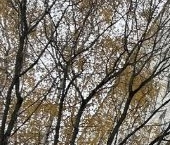 Продать Квартиры вторичка Профсоюзная улица, 88/20   