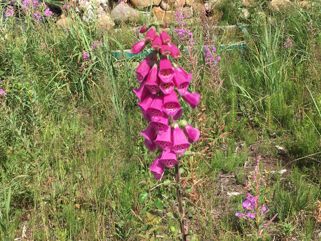 Продажа дома Престиж кп, Сосновый Бор