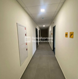 Аренда студии г Кудрово, г Кудрово, ул Солнечная, д 4