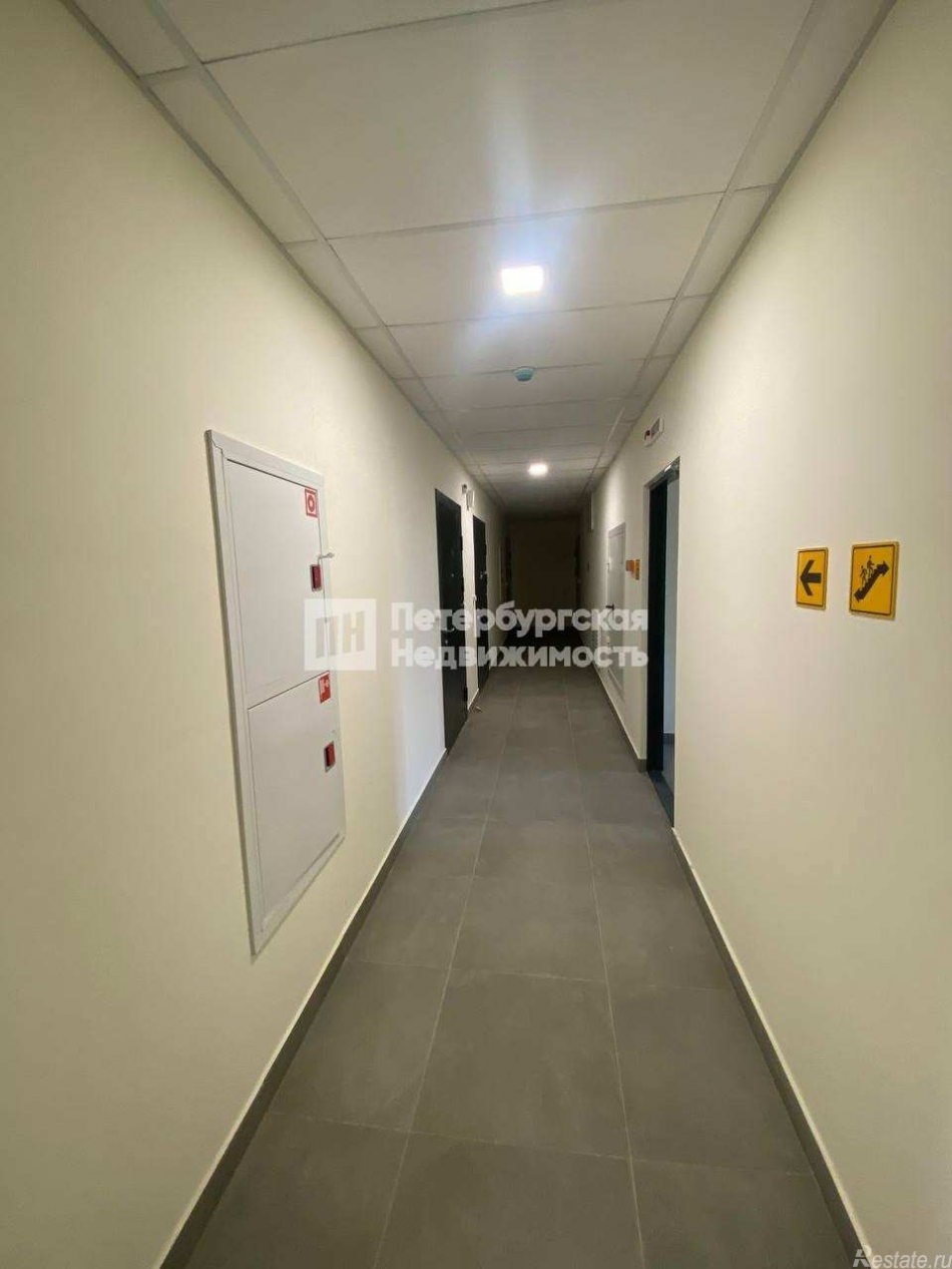 Аренда студии г Кудрово, г Кудрово, ул Солнечная, д 4