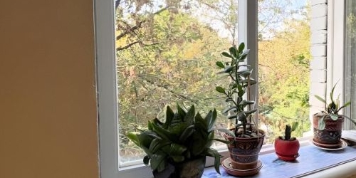 1-комн квартира Просторная улица, 10К3