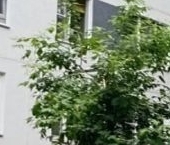 Продать Квартиры вторичка Орлово-Давыдовский переулок, 3   