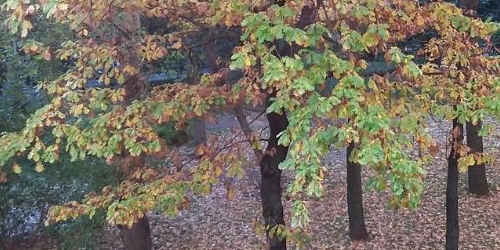 3-комн квартира Офицерский переулок, 8