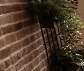 Сдать в аренду Квартиры вторичка проспект Художников, 17к1   