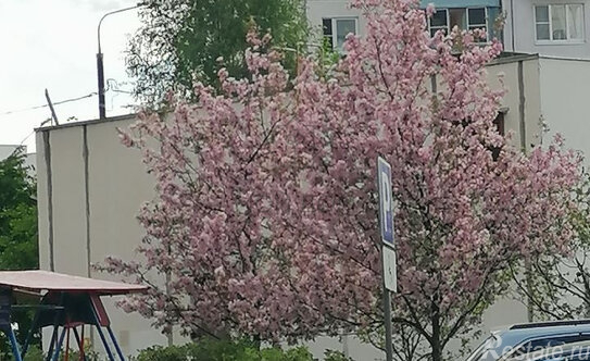 Продажа 1-комн квартиры на вторичном рынке ул Лухмановская,  д. 20