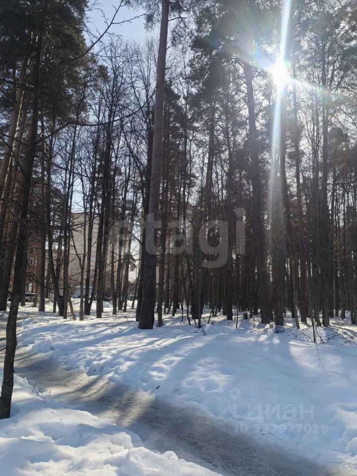 Продажа 1-комн квартиры на вторичном рынке Красноармейск, улица Новая Жизнь,  д. 8