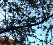 Продать Квартиры вторичка Городок Б мкр, Люберцы, улица 3-е Почтовое Отделение  42 