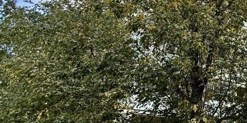 1-комн квартира улица Малышева, 24