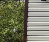 Продать Дачи, коттеджи, загородные дома Выборг, Металлист СНТ, улица 1-я Грушевая  50 