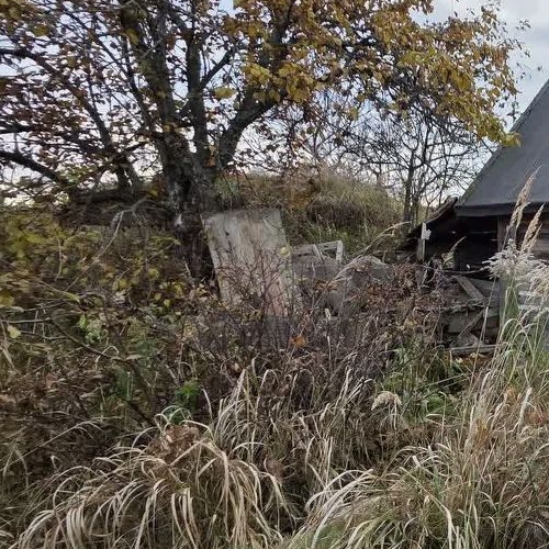 Коттедж/дом Березка СНТ, улица 17-я, 159