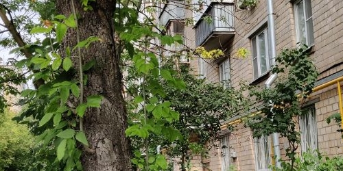 1-комн квартира улица Константина Симонова, 8К1