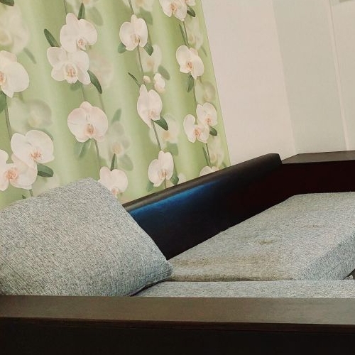 Студия пос. Шушары, переулок Вилеровский, 6