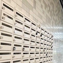 Аренда 1-комн квартиры на вторичном рынке Котельники, улица Сосновая, 5к1