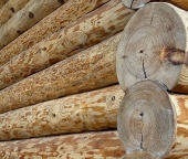 Продать Дачи, коттеджи, загородные дома ДНП Фортуна-Дурниха, , Раменское, ул Заозерная  16 