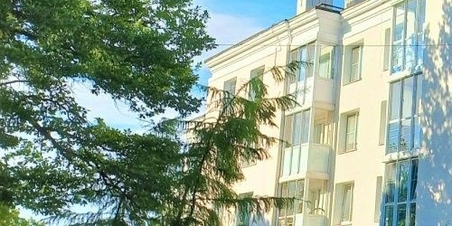 2-комн квартира Ломоносов, Еленинская улица, 4