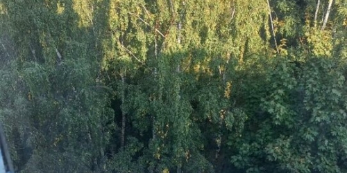 1-комн квартира Кима пр-кт,  д. 6