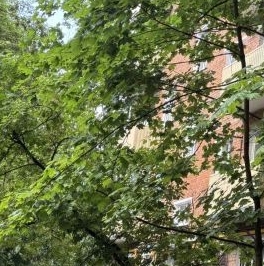 Продажа 2-комн квартиры на вторичном рынке Кутузовский проспект, 76