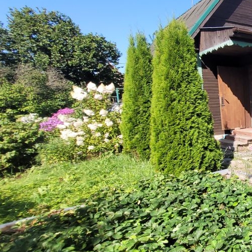 Коттедж/дом Факел СПК, 6-я линия, 99