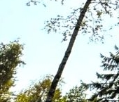 Продать Дачи, коттеджи, загородные дома пос. Западная Лица, улица Рассветная   