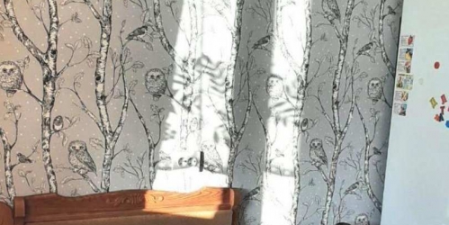 1-комн квартира Планерная ул. ,  д. 43,  к. 1