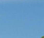 Продать Дачи, коттеджи, загородные дома Золотые Пески кп, пос. Пески  3 