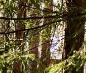 Продать Дачи, коттеджи, загородные дома пос. Ленинское, улица Комаровская   