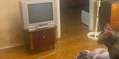 2-комн квартира улица Константина Царева, 4