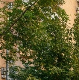 Продажа 6-комн квартиры на вторичном рынке Зоологическая улица, 22 Продажа 6-комн квартиры на вторичном рынке Зоологическая улица, 22