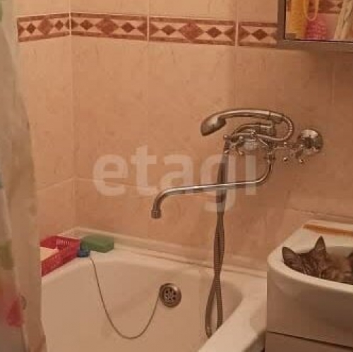 1-комн квартира улица Передовиков,  д. 11 к1