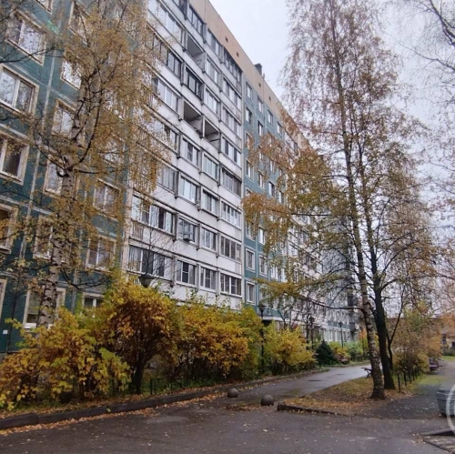 2-комн квартира Новое Девяткино дер., Славы ул. ,  д. 10