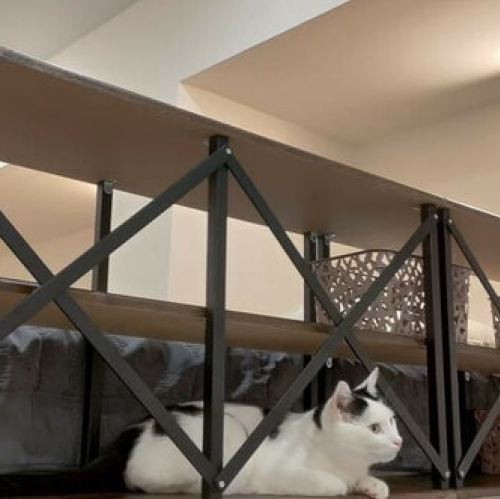 1-комн квартира Научный проезд,  д. 17