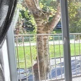 Продажа 1-комн квартиры на вторичном рынке улица Берзарина,  д. 12