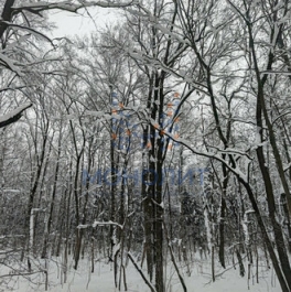 Продажа 2-комн квартиры на вторичном рынке Киевское шоссе