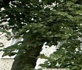 Продать Квартиры вторичка ДЗФС мкр  8А 