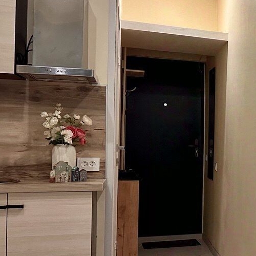 Студия 11-я Васильевского острова линия, 46