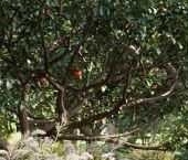 Продать Квартиры вторичка улица Красного Маяка, 26А   