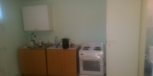 Торговое помещение 2 Алексеевская ул.