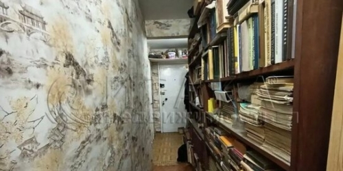 3-комн квартира Новочеркасский пр-кт,  д. 24