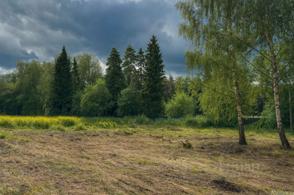 Продажа земли Бузланово, ул Полевая,  д. 8