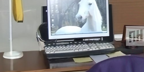 1-комн квартира Кронверкский проспект, 53