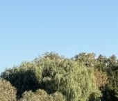 Продать Квартиры вторичка Южнобутовская улица, 72К3   