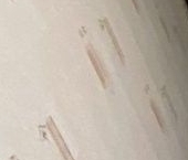 Продать Квартиры вторичка пос. Первомайское, улица Ленина, 57   