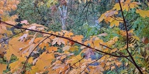 1-комн квартира улица Танкиста Хрустицкого, 102