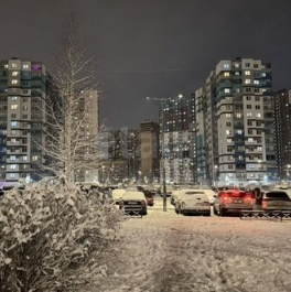 Продажа 1-комн квартиры на вторичном рынке Муринская дор,  д. 59,  к. 1 стр 1