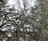 Продать Дачи, коттеджи, загородные дома Михайловский садоводческий массив, Лидер СНТ, аллея 2-я, 9   