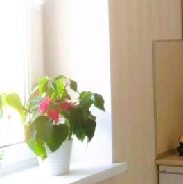 Продажа 1-комн квартиры на вторичном рынке проспект Солидарности, 14к1 Продажа 1-комн квартиры на вторичном рынке проспект Солидарности, 14к1